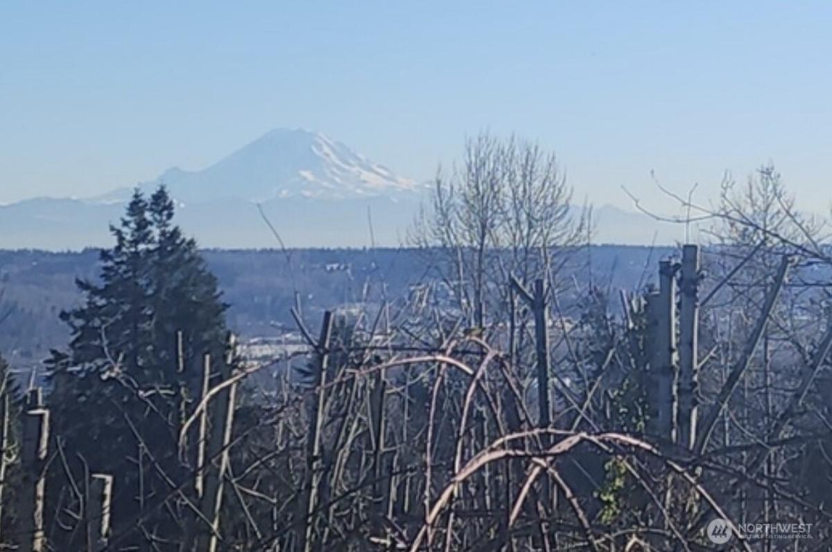 MLS #NWM2570782 image #0
