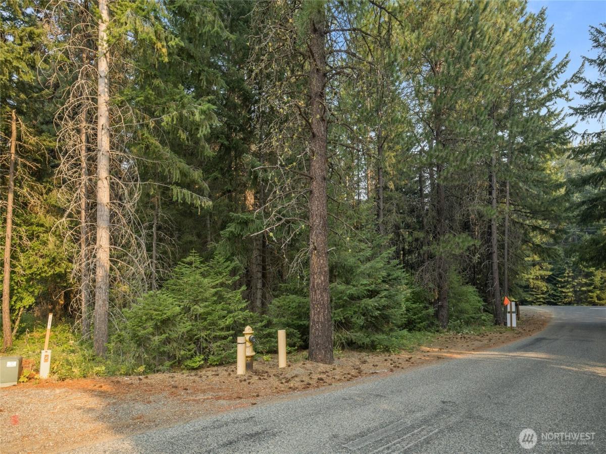 MLS #NWM2571057 image #0