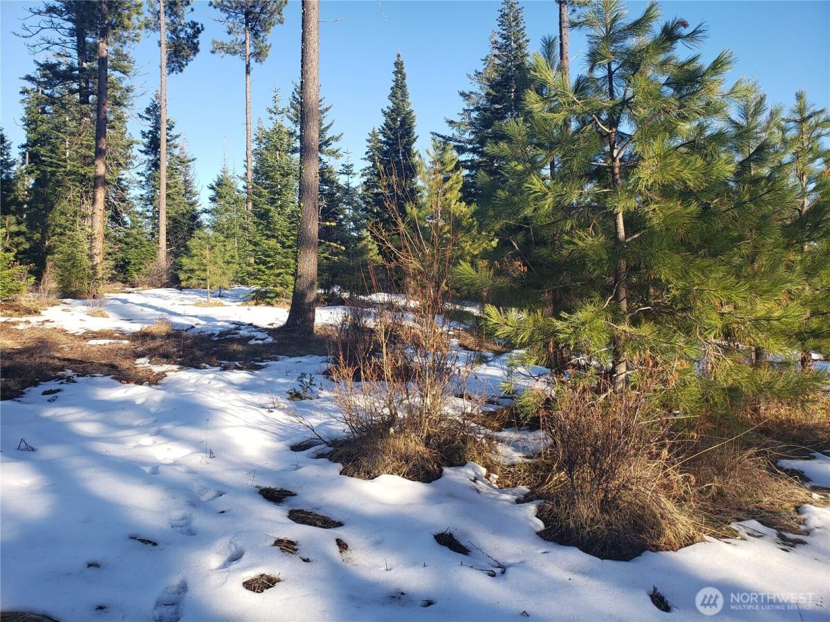 MLS #NWM2572341 image #0