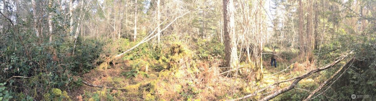 MLS #NWM2572919 image #0