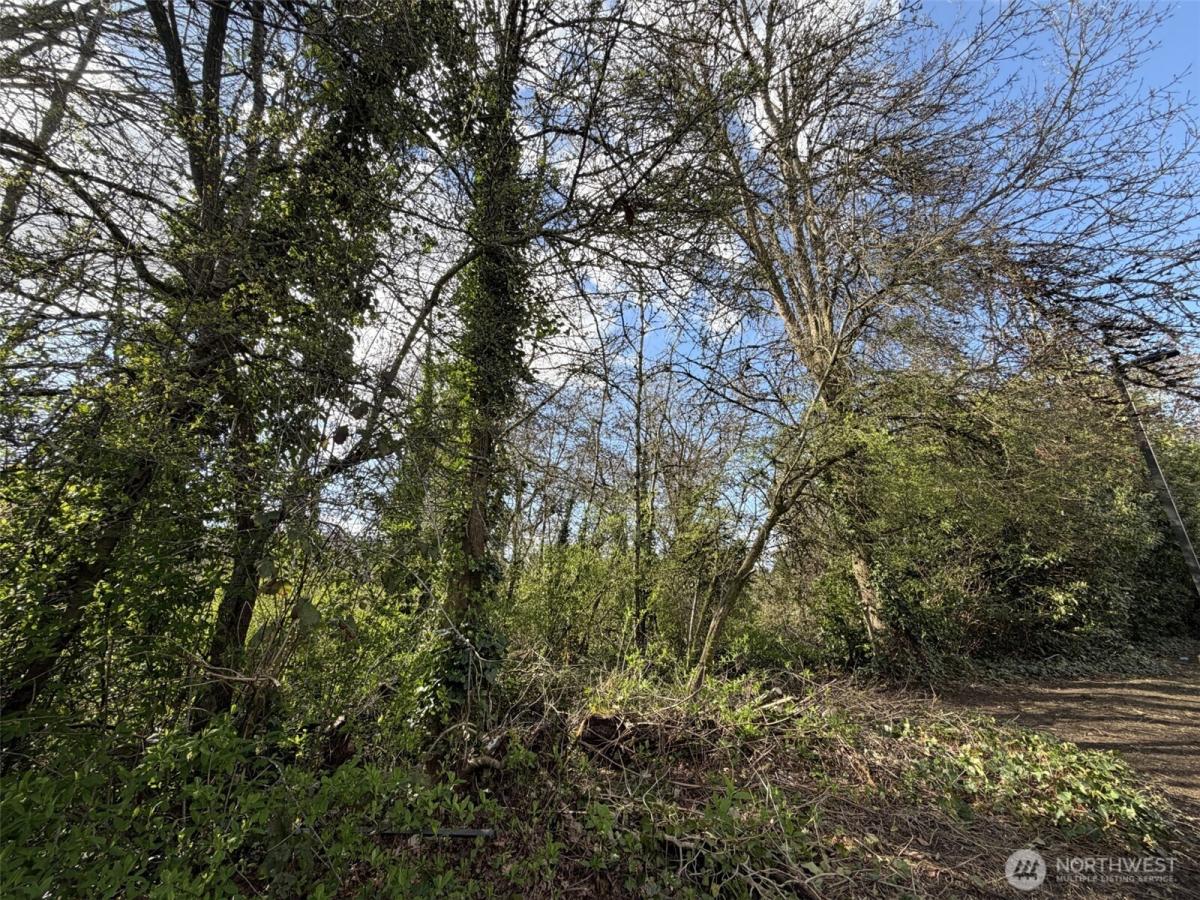 MLS #NWM2573461 image #0