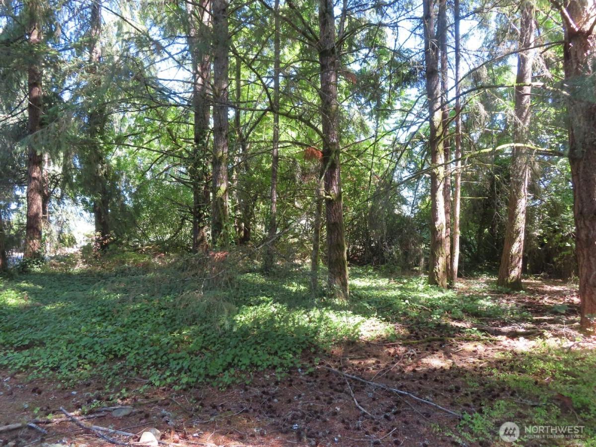 MLS #NWM2573827 image #0