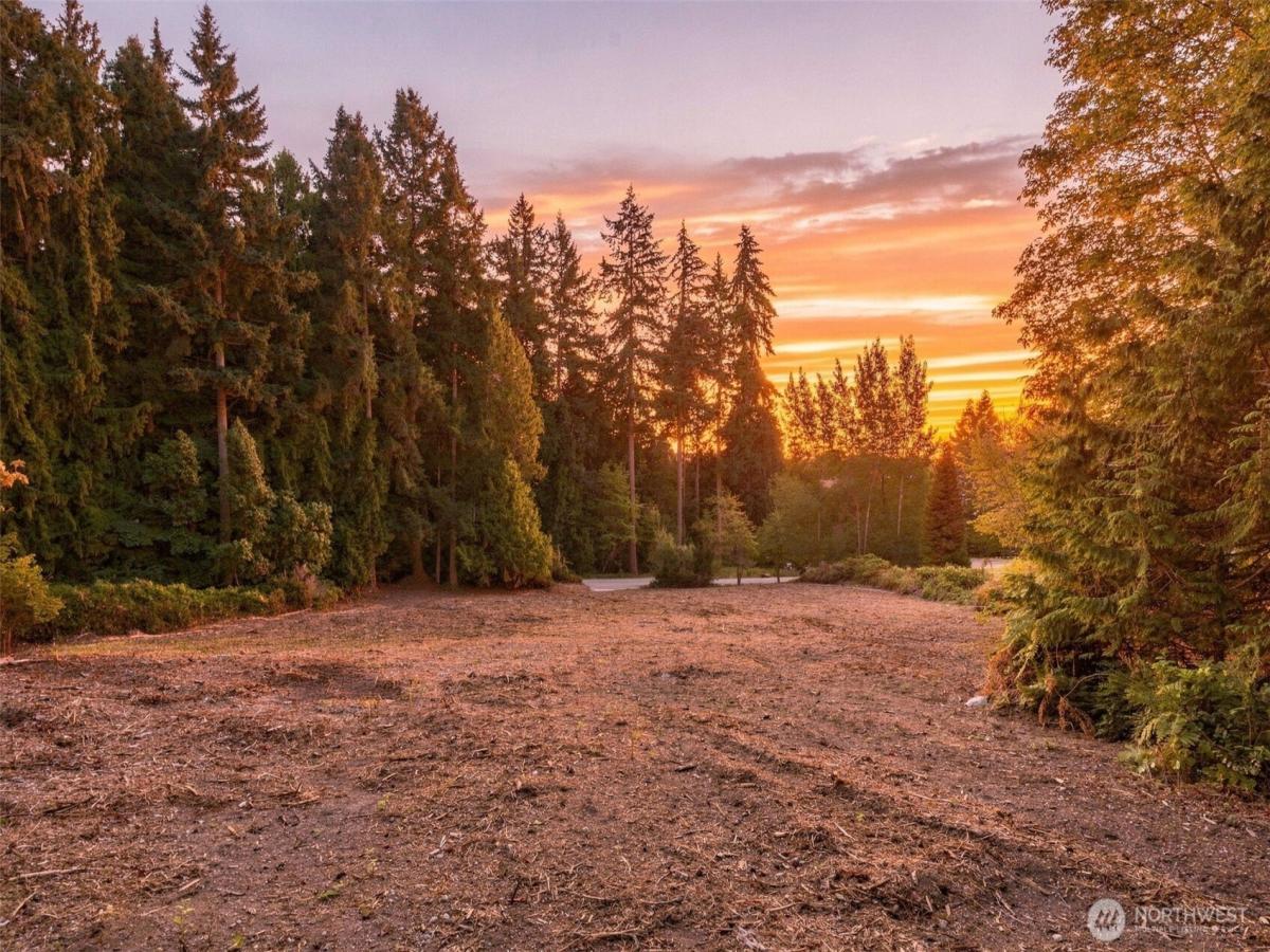 MLS #NWM2574264 image #0