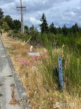MLS #NWM2582077 image #0