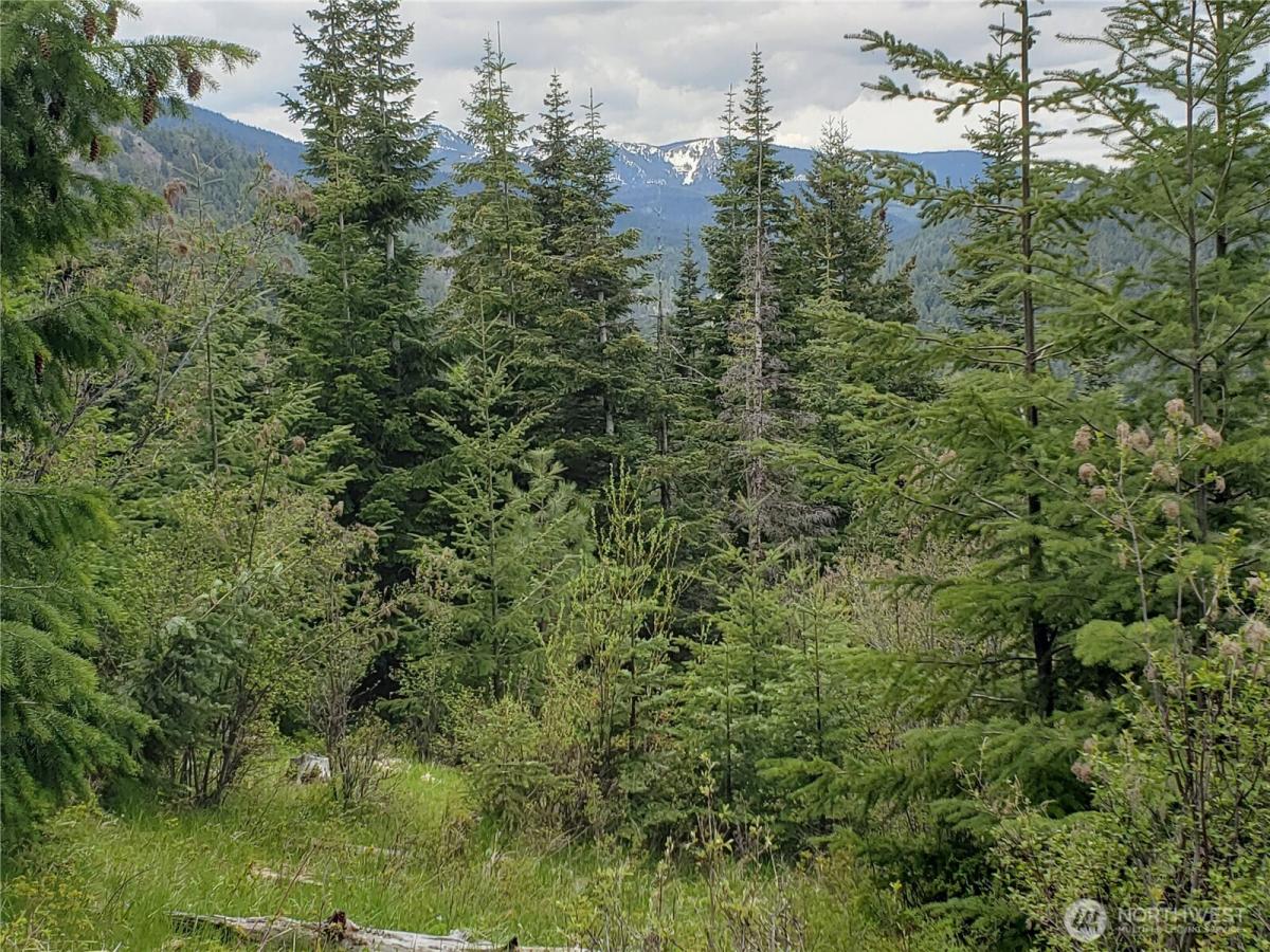 MLS #NWM2583640 image #0