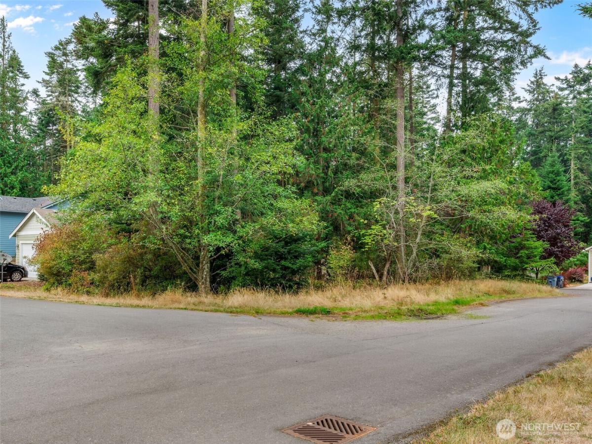 MLS #NWM2587336 image #0