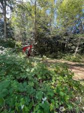 MLS #NWM2587425 image #0