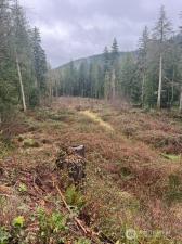 MLS #NWM2587943 image #0