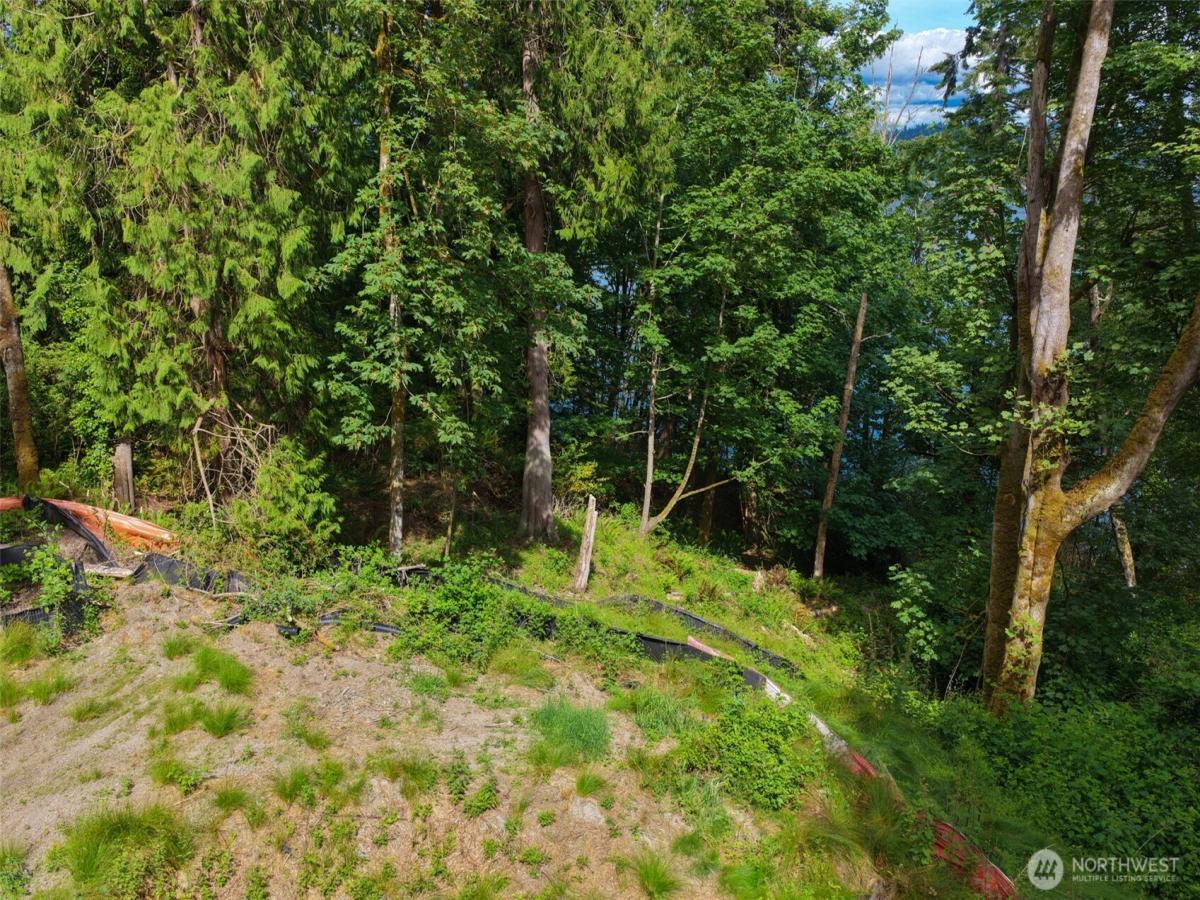 MLS #NWM2589402 image #0