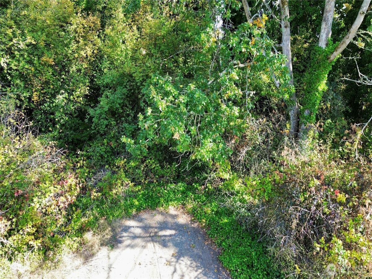 MLS #NWM2593238 image #0