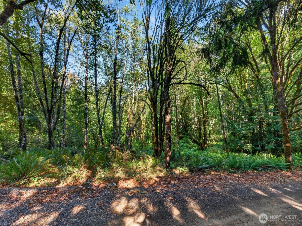 MLS #NWM2593499 image #0