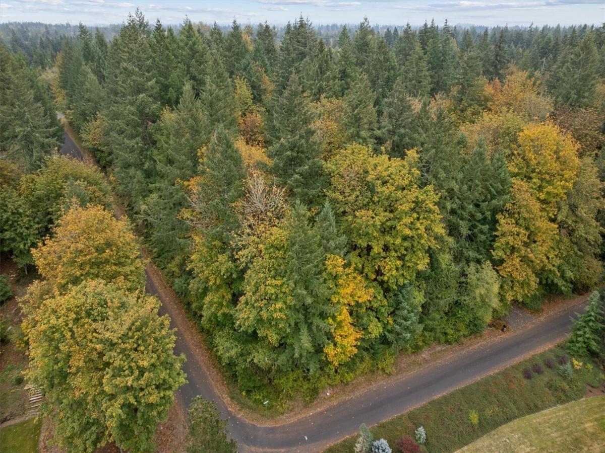 MLS #NWM2596268 image #0