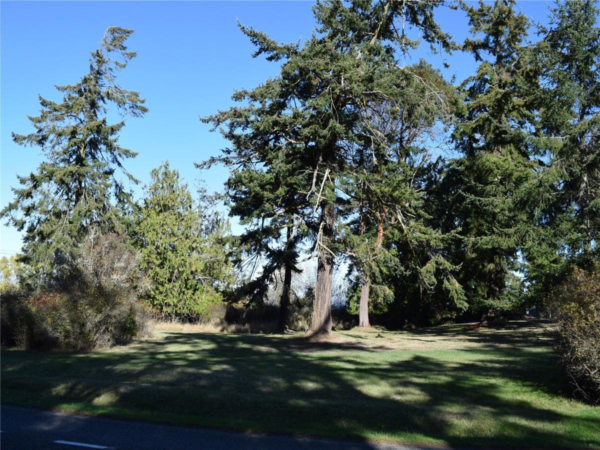 MLS #NWM2598017 image #0