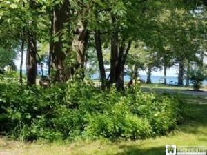 MLS #R1152451 image #0