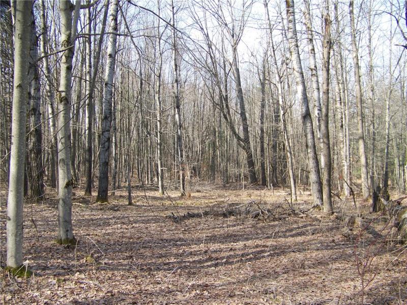 MLS #R1594008 image #0