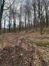 MLS #R1596834 image #0