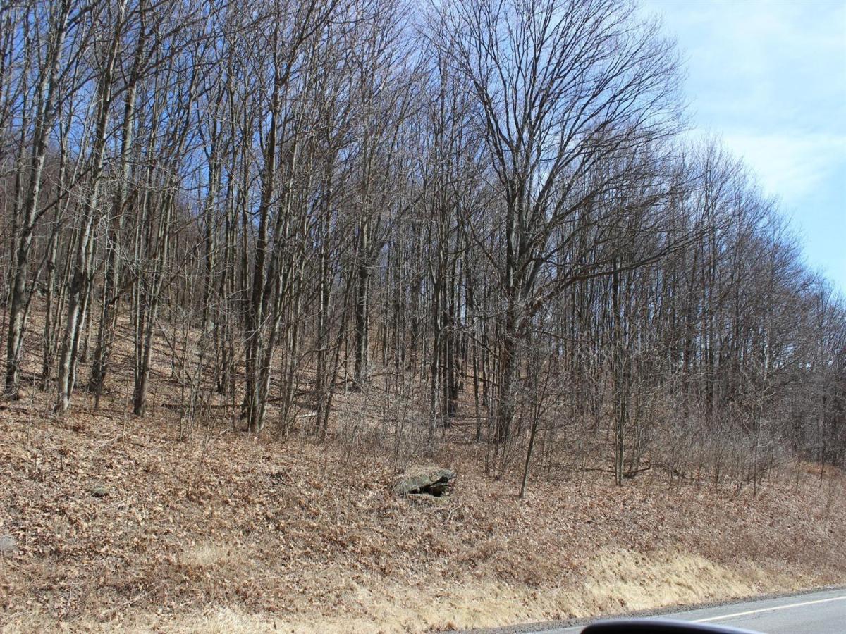 MLS #R1639361 image #0
