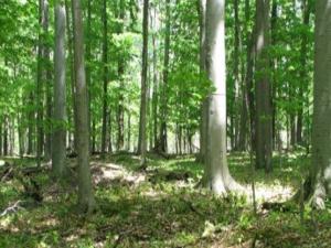 MLS #R1652607 image #0