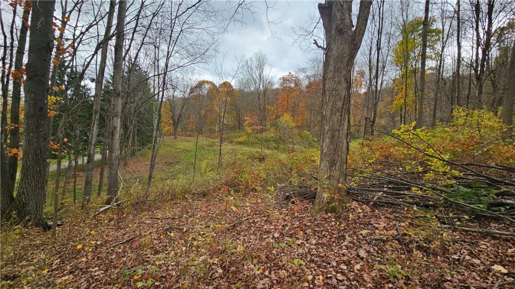 MLS #R1655096 image #0