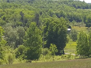 broker reciprocity