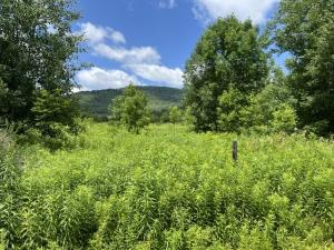 MLS #R1661368 image #0