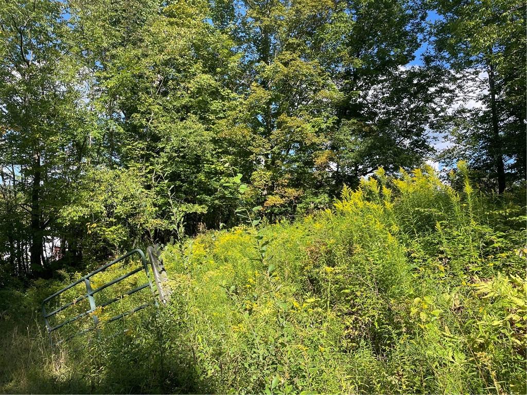 MLS #R1667342 image #0