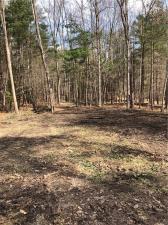 MLS #R1667463 image #0