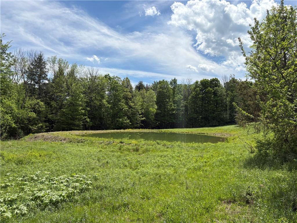 MLS #R1670128 image #0