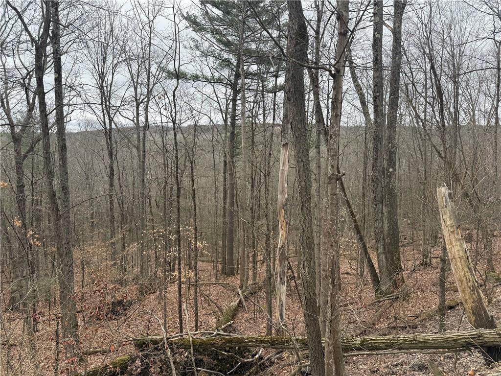 MLS #R1672756 image #0