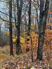 MLS #R1672878 image #0