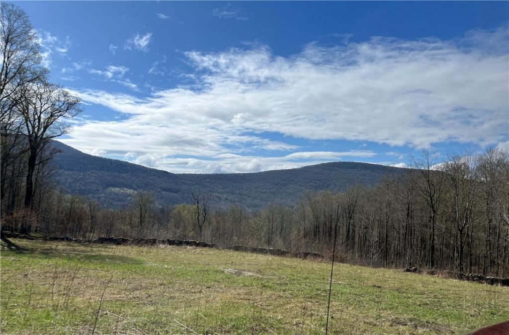 MLS #R1676543 image #0