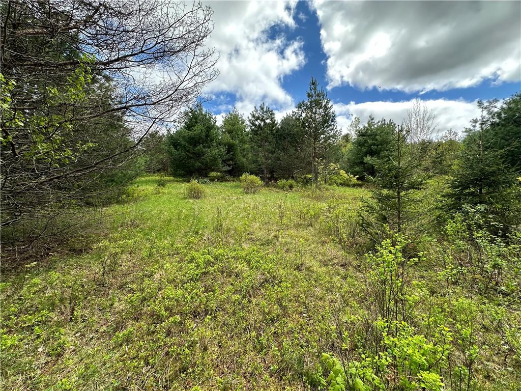 MLS #R1676961 image #0