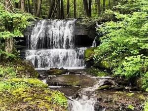 MLS #R1677155 image #0