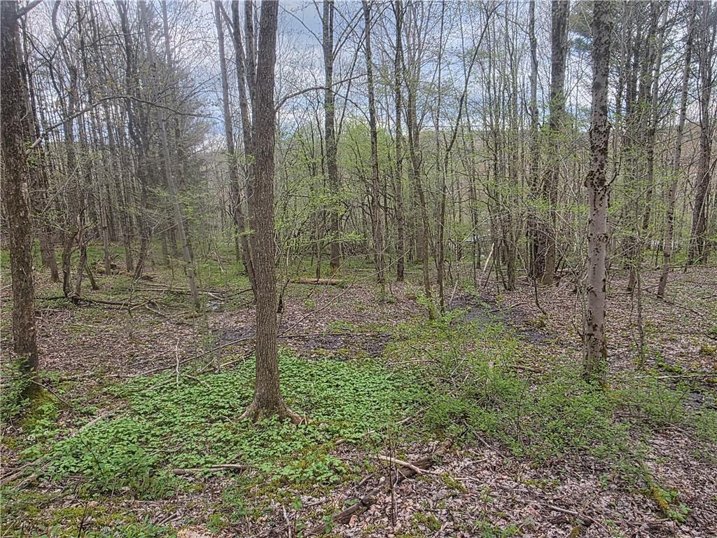 MLS #R1677462 image #0