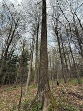 MLS #R1678944 image #0