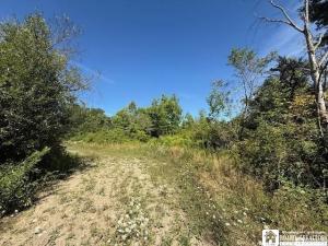 MLS #R1681457 image #0