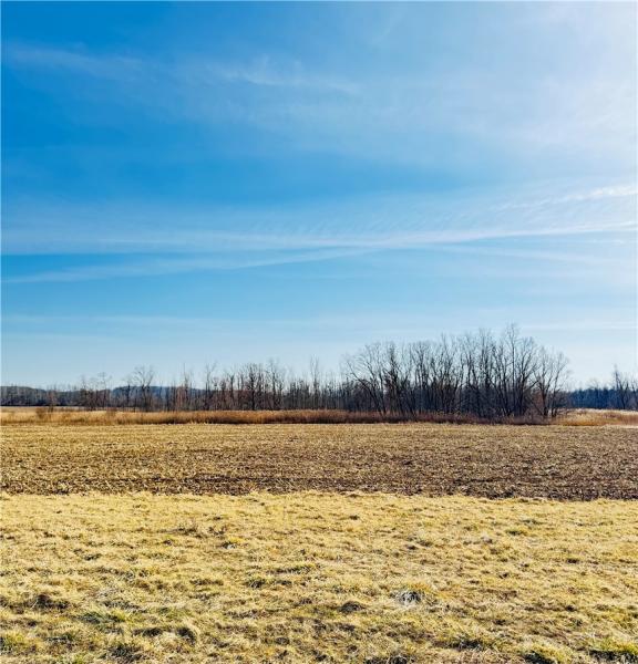 MLS #R1681531 image #0