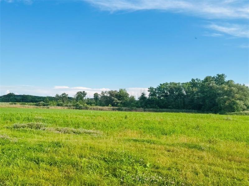 MLS #R1681539 image #0