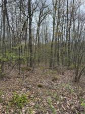 MLS #R1681667 image #0