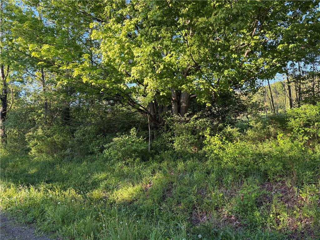 MLS #R1684439 image #0