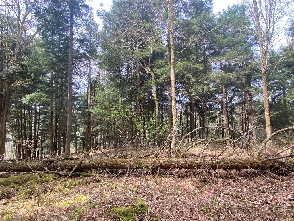 MLS #R1684550 image #0
