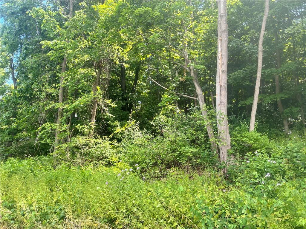 MLS #R1689983 image #0