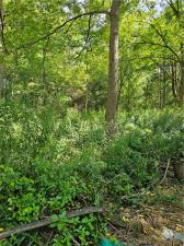 MLS #R1691365 image #0