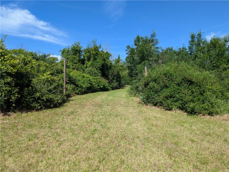 MLS #R1693816 image #0