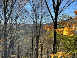 MLS #R1694694 image #0