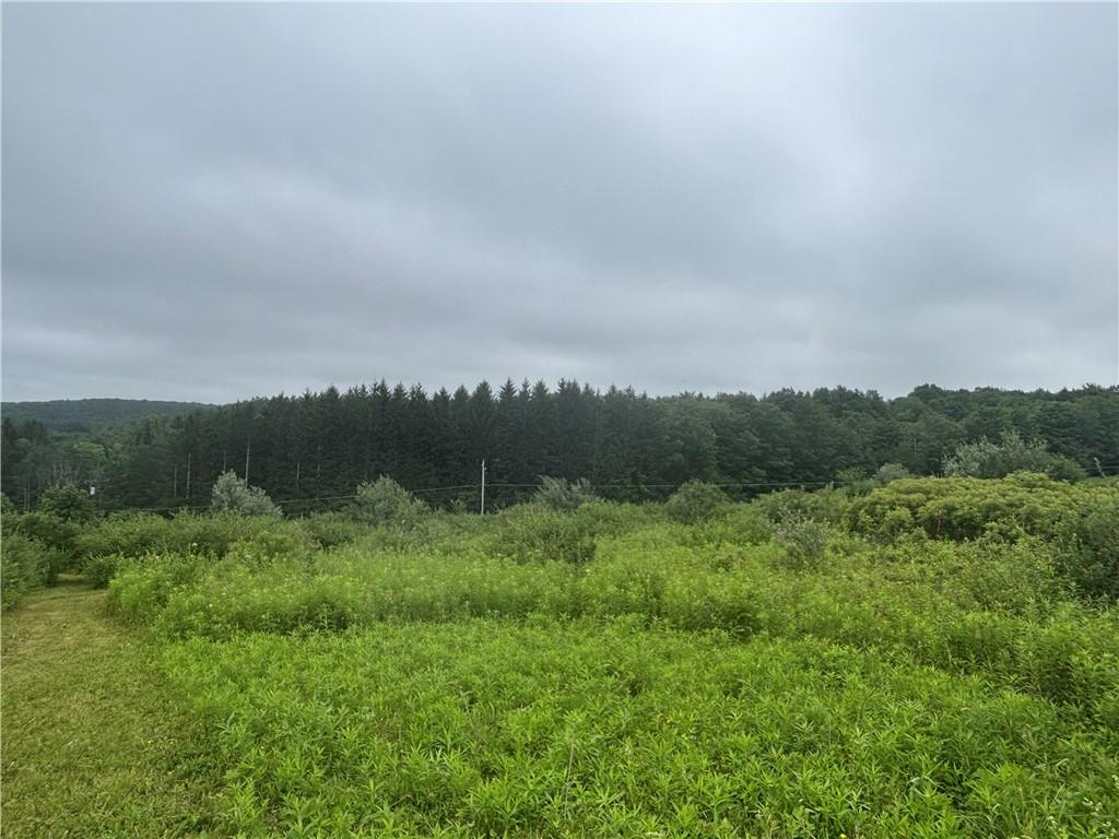 MLS #R1695377 image #0