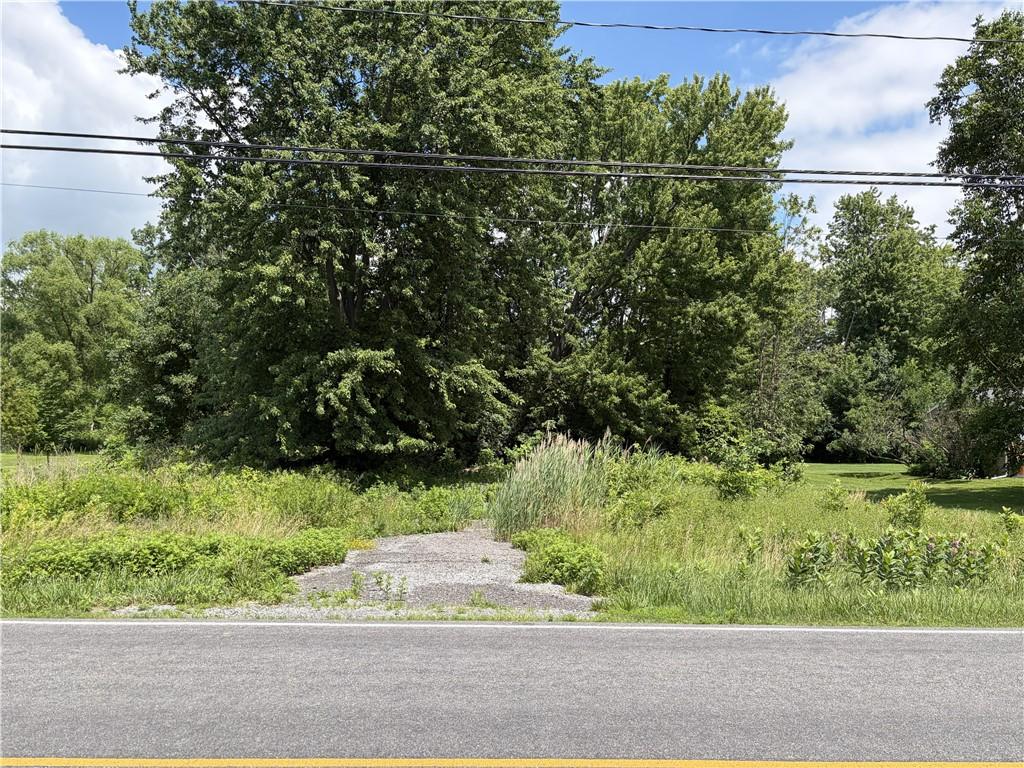 MLS #R1695396 image #0