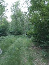 MLS #R1695482 image #0