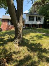 MLS #R1695833 image #0