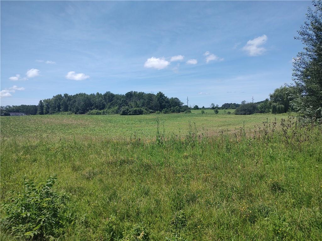 MLS #R1696842 image #0